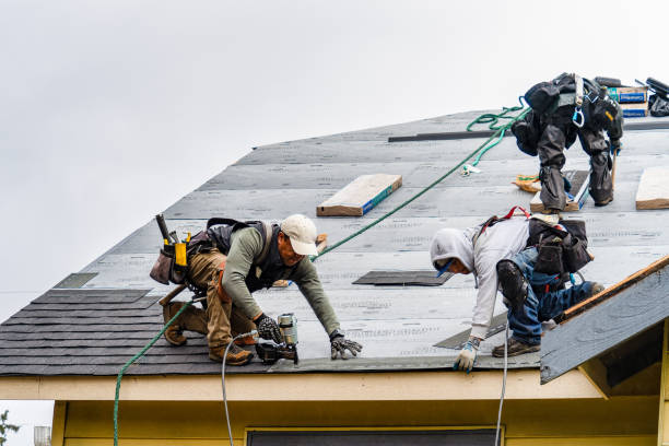 Professional Gutter Installation technician working in Dublin, TX